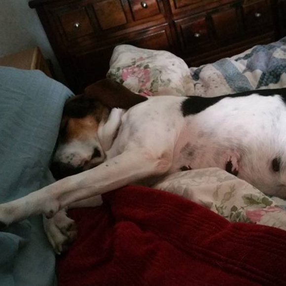 Meet your Posher, Angela (Plottie & Weezie too) - Picture 13 of 14